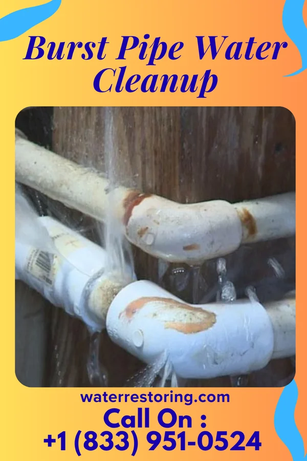 Burst Pipe Water Cleanup in Madison Place, OH