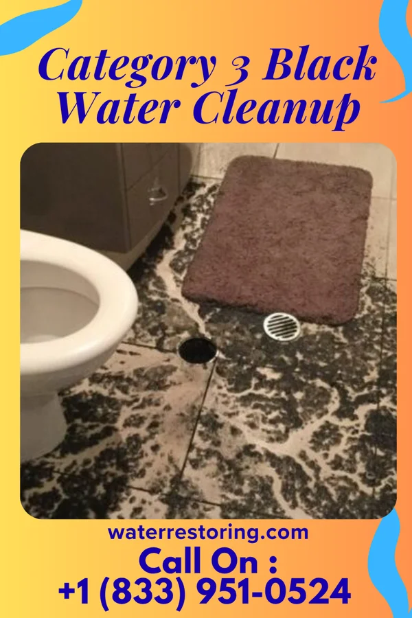 Category 3 Black Water Cleanup in Madison Place, OH