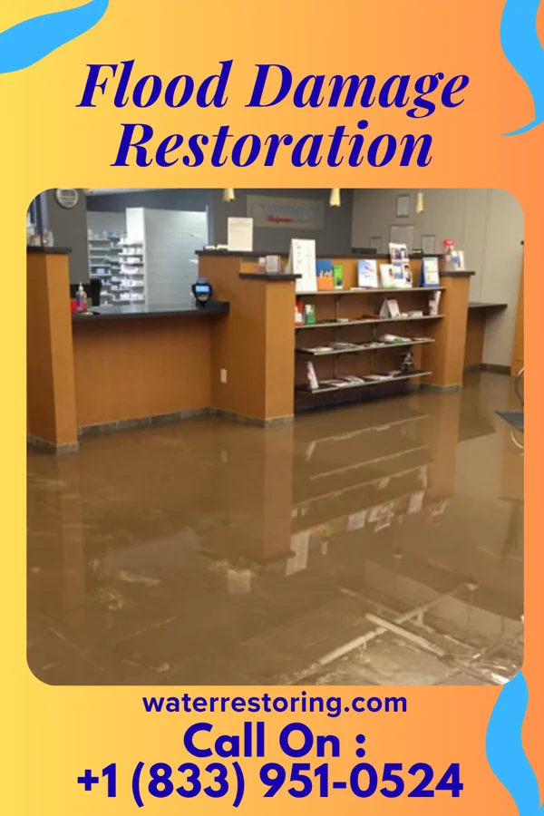 Flood Damage Restoration in Madison Place, OH