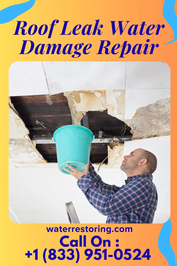 Roof Leak Water Damage Repair in Madison Place, OH