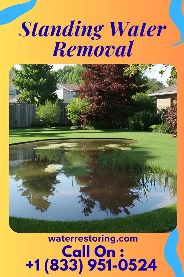 Standing Water Removal in Madison Place, OH